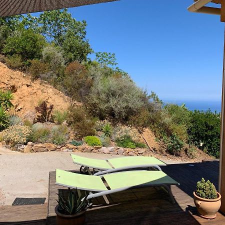 Villa Confina Villanova Екстериор снимка