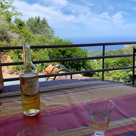 Villa Confina Villanova Екстериор снимка