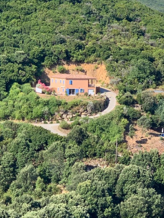 Villa Confina Villanova Екстериор снимка